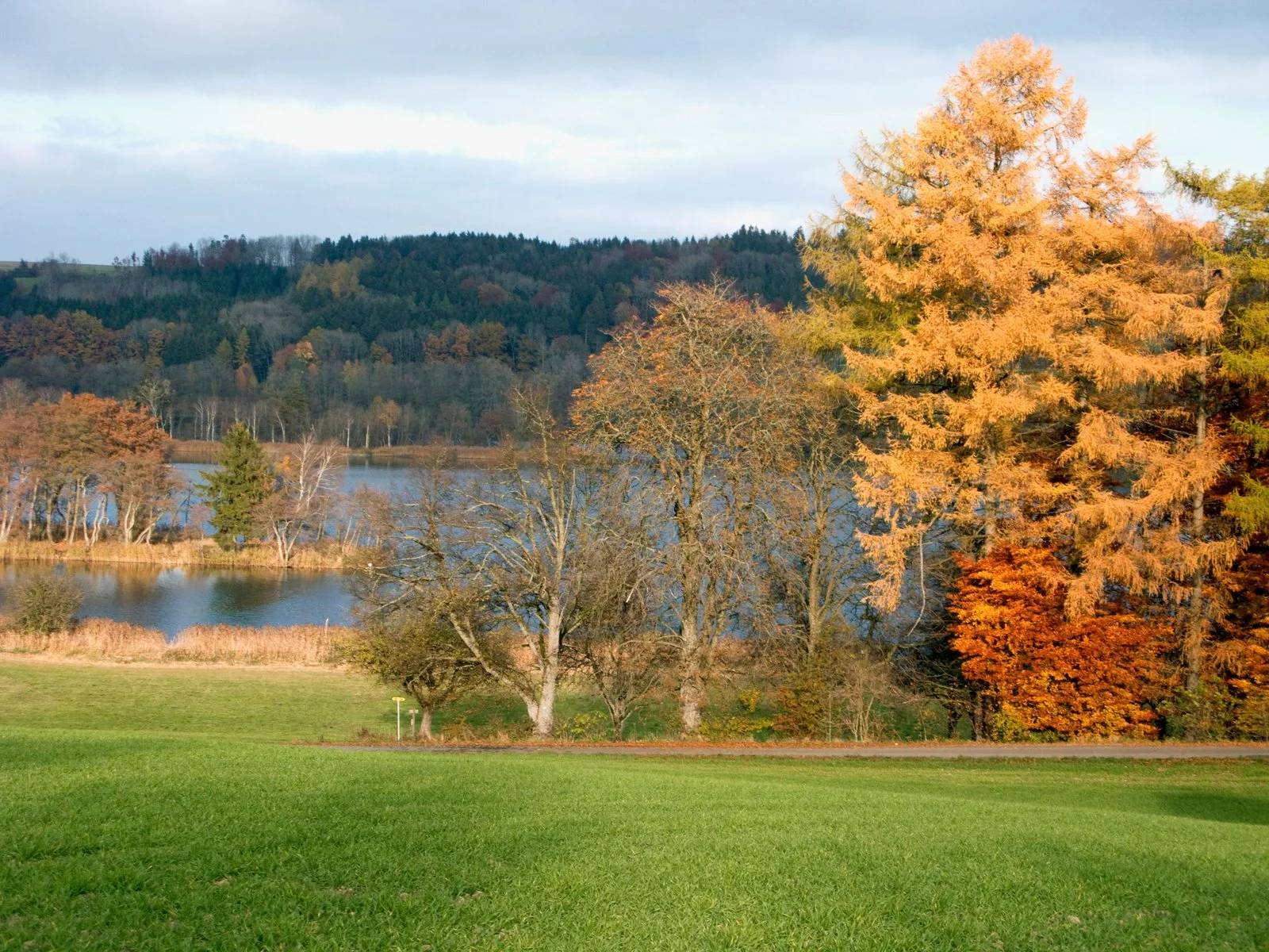 Der Illmensee im Landkreis Sigmaringen im Herbst