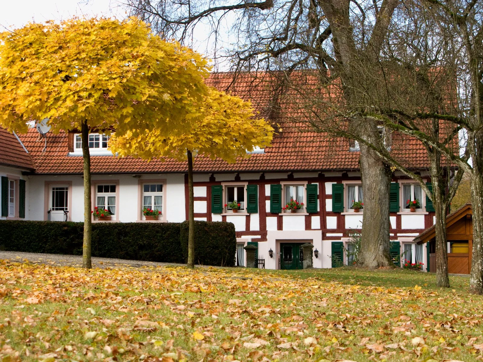 Fachwerkhaus bei Pfullendorf im Herbst